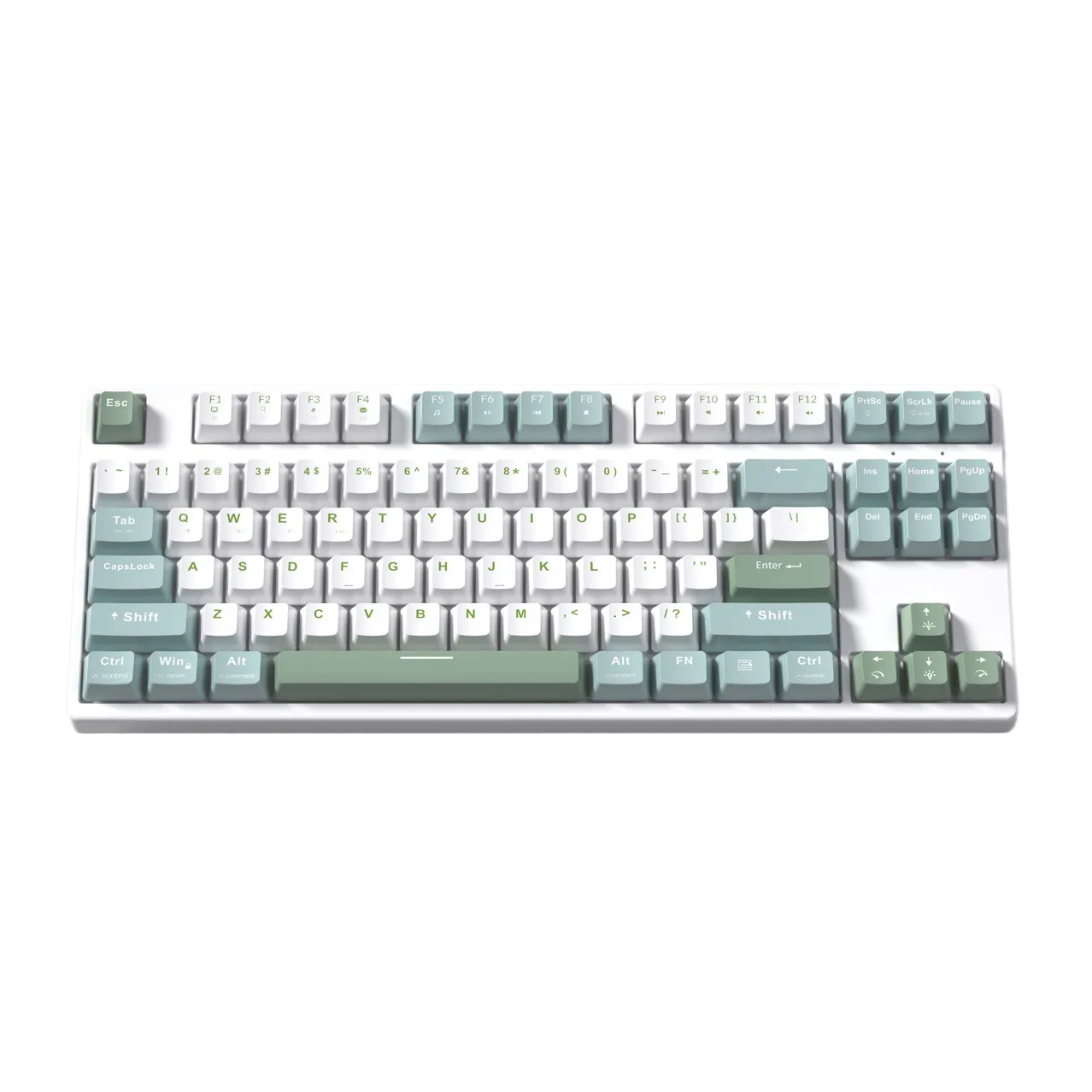 image-525-1.webp